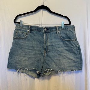 Everlane Cheeky Short 33